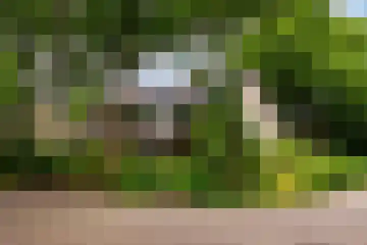 Hippocrateslaan 2 Bergen op Zoom thumbnail 45