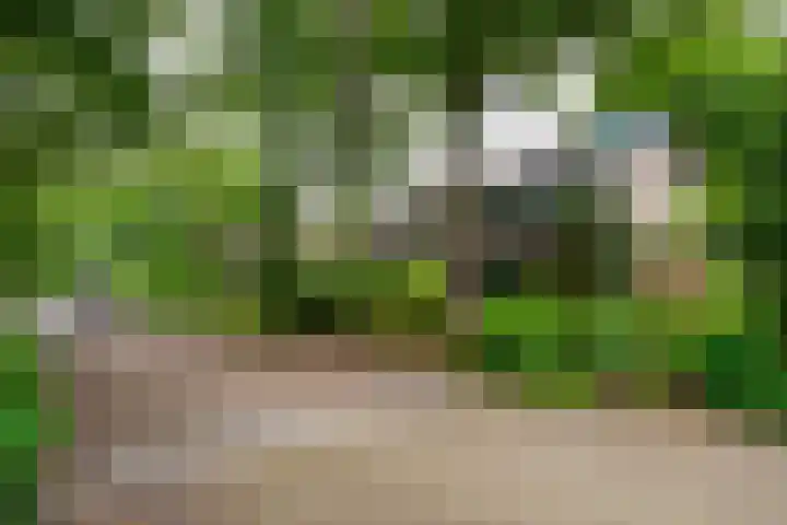 Hippocrateslaan 2 Bergen op Zoom thumbnail 46