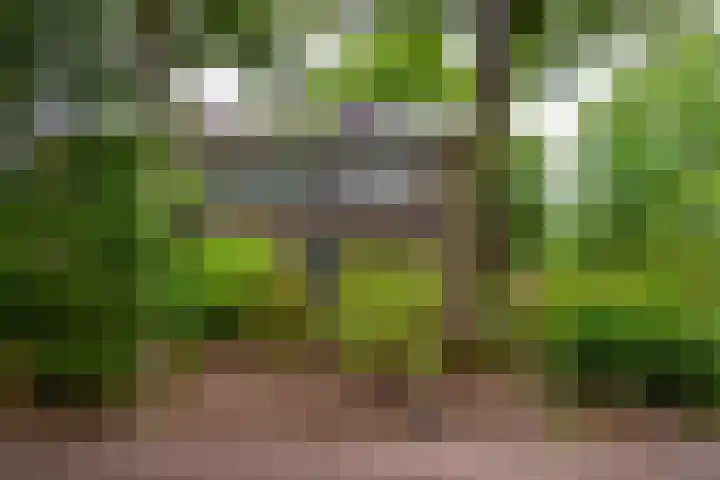 Hippocrateslaan 2 Bergen op Zoom thumbnail 47