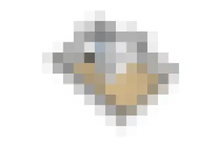 Hippocrateslaan 2 Bergen op Zoom thumbnail 54