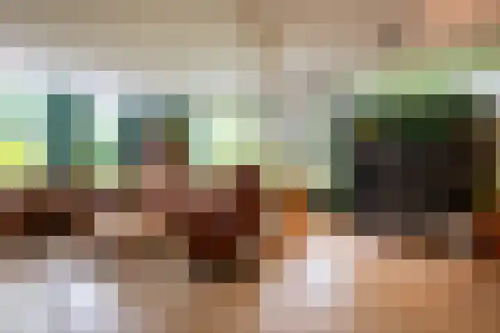 Hippocrateslaan 2 Bergen op Zoom thumbnail 7