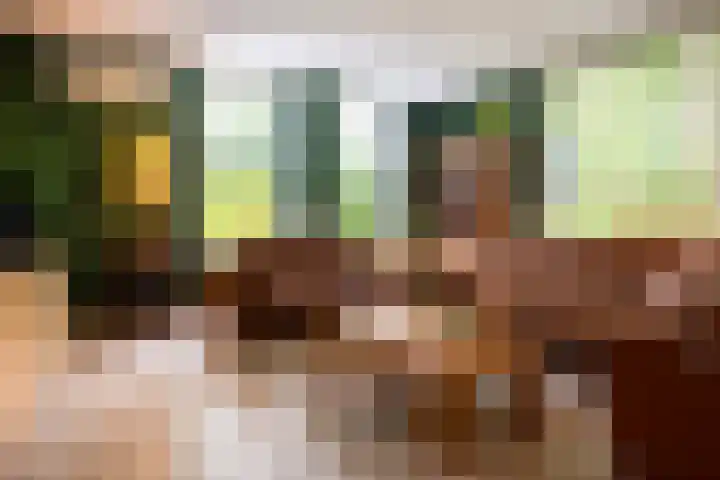 Hippocrateslaan 2 Bergen op Zoom thumbnail 8
