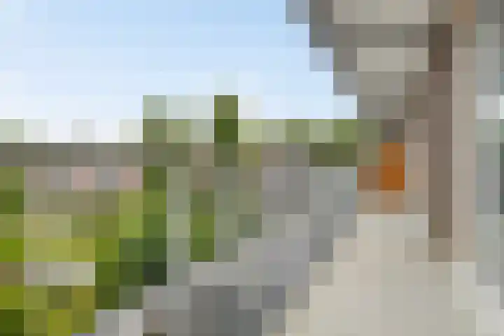 Hippocrateslaan 34 b Groningen thumbnail 18