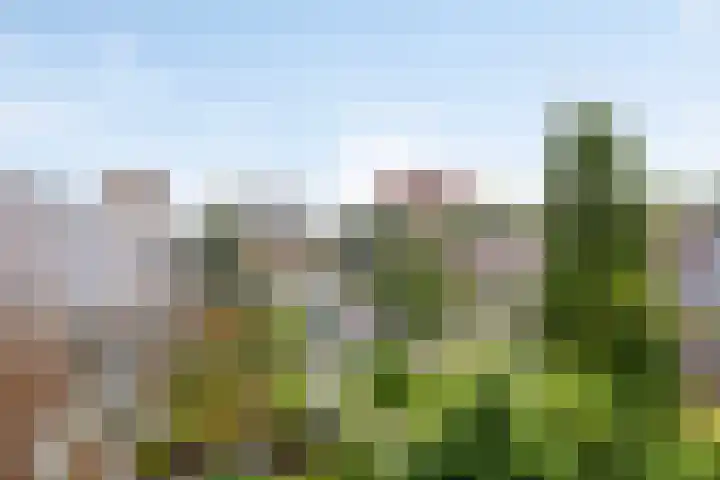 Hippocrateslaan 34 b Groningen thumbnail 20