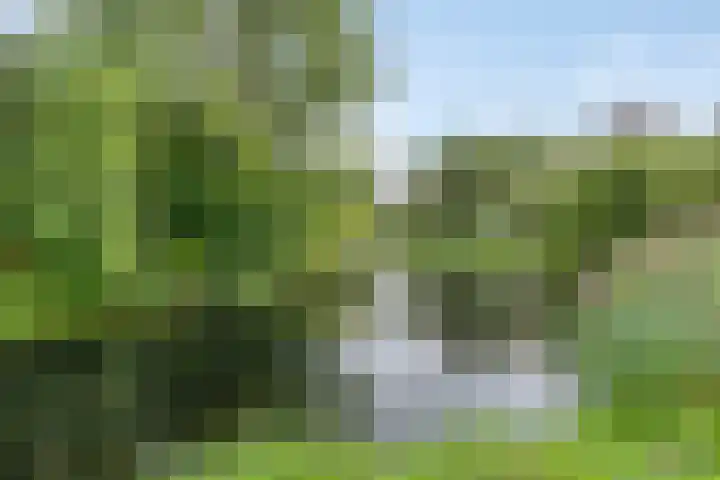 Hippocrateslaan 34 b Groningen thumbnail 28