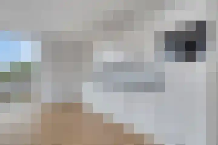 Hippocrateslaan 34 d Groningen thumbnail 10