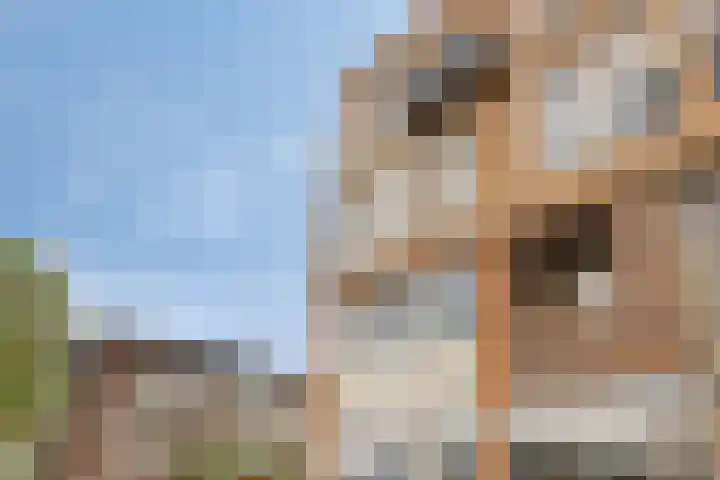 Hippocrateslaan 34 d Groningen thumbnail 28