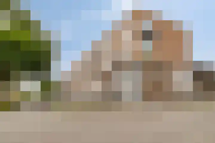 Hippocrateslaan 34 d Groningen thumbnail 30