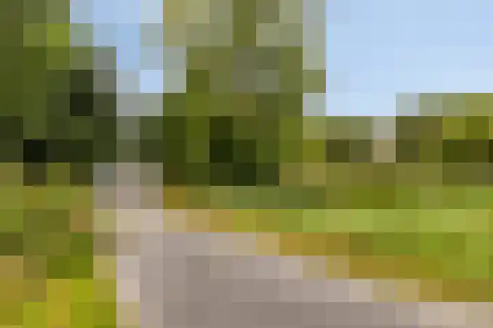 Hippocrateslaan 34 d Groningen thumbnail 34