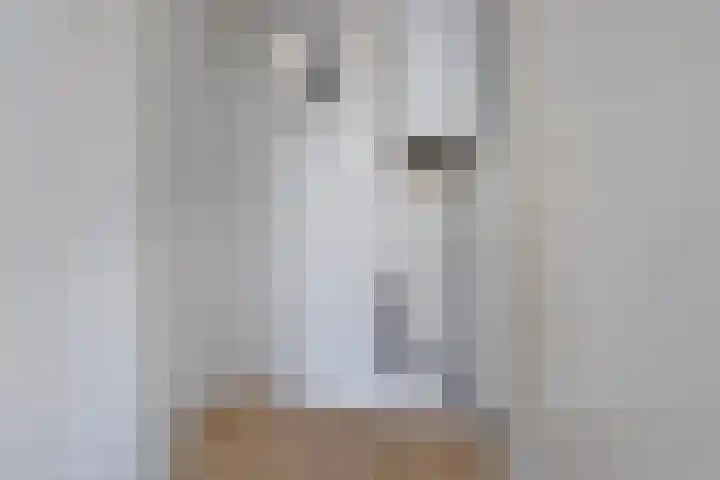 Hippocrateslaan 34 e Groningen thumbnail 19