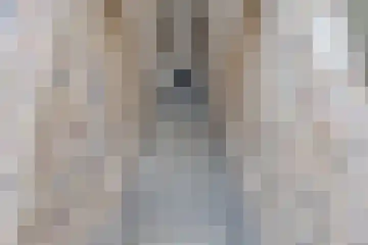 Hippocrateslaan 34 e Groningen thumbnail 22