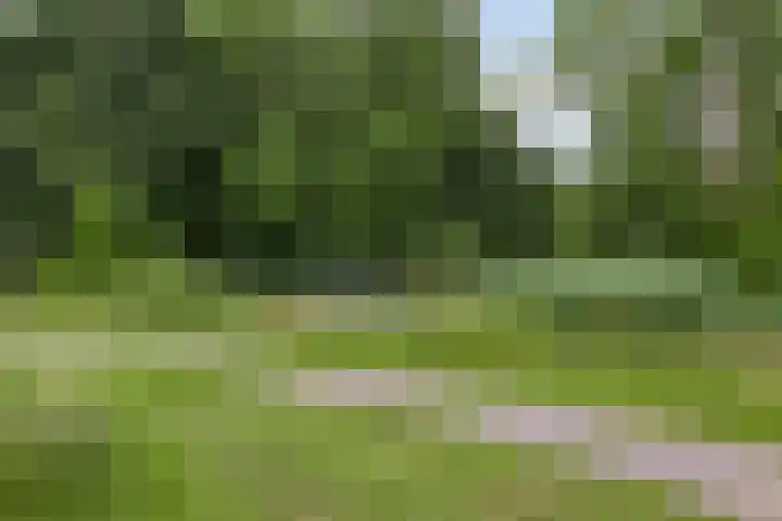 Hippocrateslaan 34 e Groningen thumbnail 27