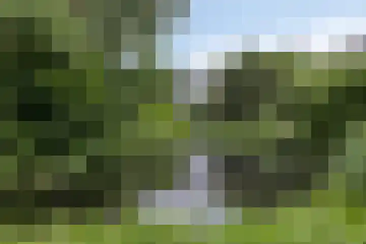 Hippocrateslaan 34 e Groningen thumbnail 29