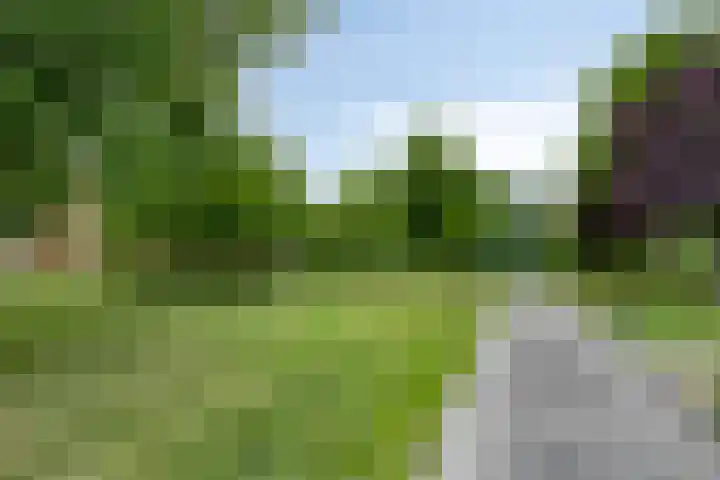 Hippocrateslaan 34 e Groningen thumbnail 30