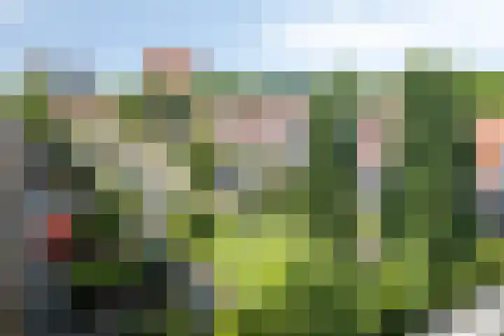 Hippocrateslaan 34 e Groningen thumbnail 6