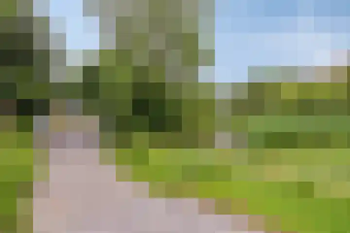 Hippocrateslaan 42 a Groningen thumbnail 18