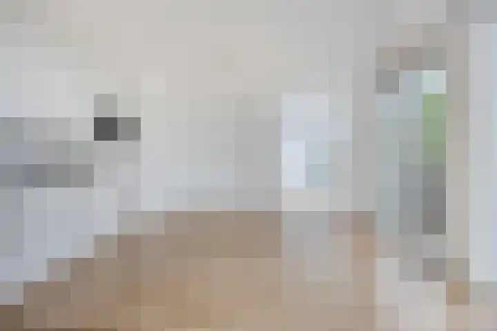 Hippocrateslaan 42 a Groningen thumbnail 4