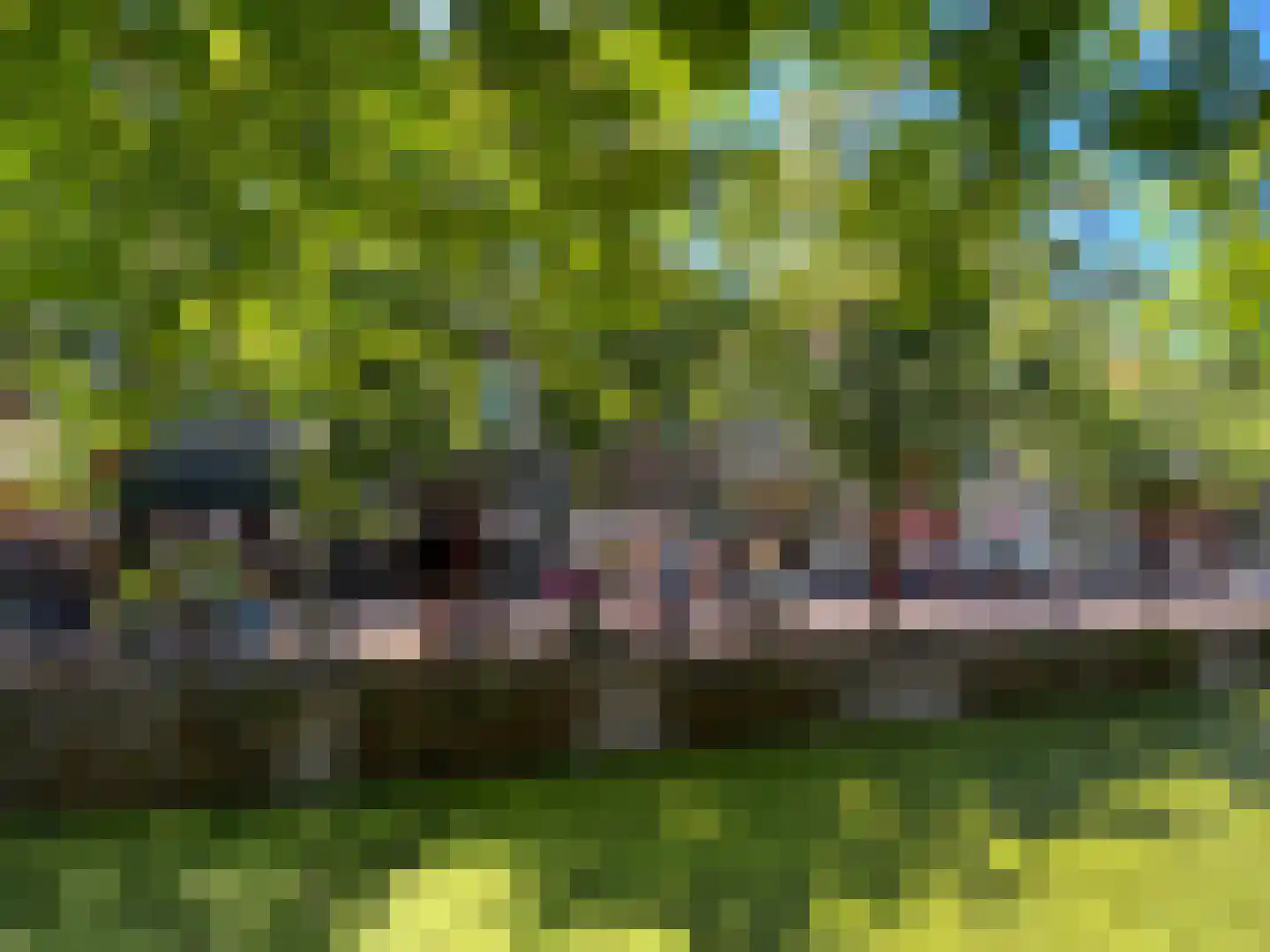Hippolytusbuurt 11 Delft thumbnail 35