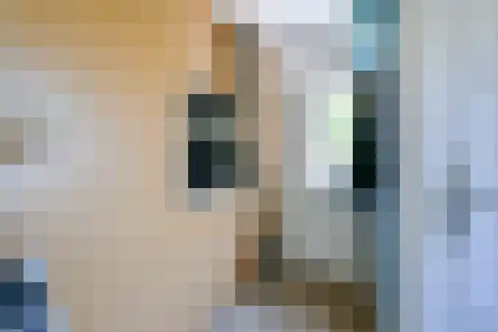 Hippolytushoeverweg 7 Slootdorp thumbnail 12