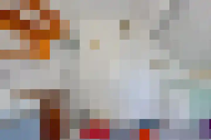Hippolytushoeverweg 7 Slootdorp thumbnail 17