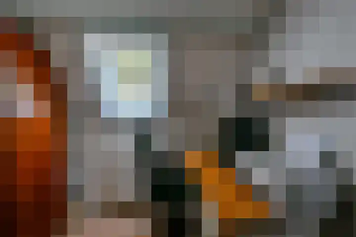 Hippolytushoeverweg 7 Slootdorp thumbnail 18