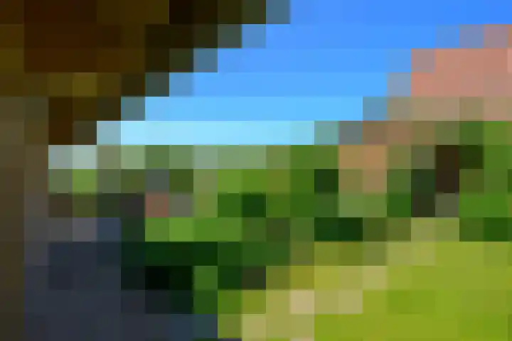Hippolytushoeverweg 7 Slootdorp thumbnail 22