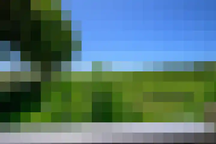 Hippolytushoeverweg 7 Slootdorp thumbnail 25