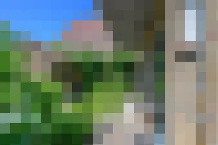 Hippolytushoeverweg 7 Slootdorp thumbnail 27