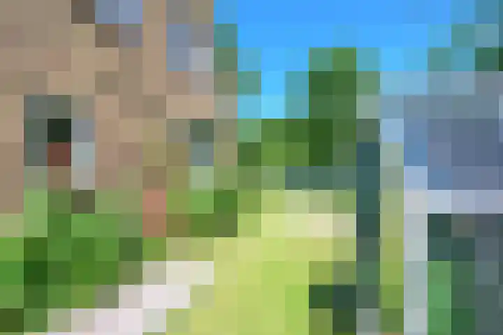 Hippolytushoeverweg 7 Slootdorp thumbnail 29