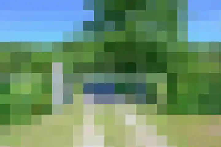 Hippolytushoeverweg 7 Slootdorp thumbnail 30