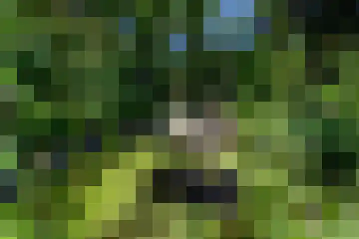 Hippolytushoeverweg 7 Slootdorp thumbnail 31
