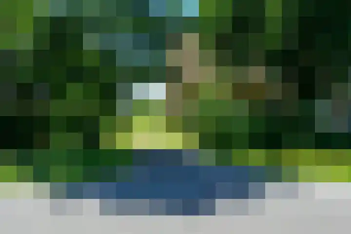 Hippolytushoeverweg 7 Slootdorp thumbnail 32