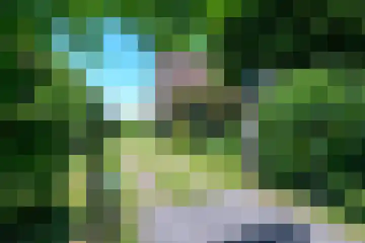 Hippolytushoeverweg 7 Slootdorp thumbnail 4