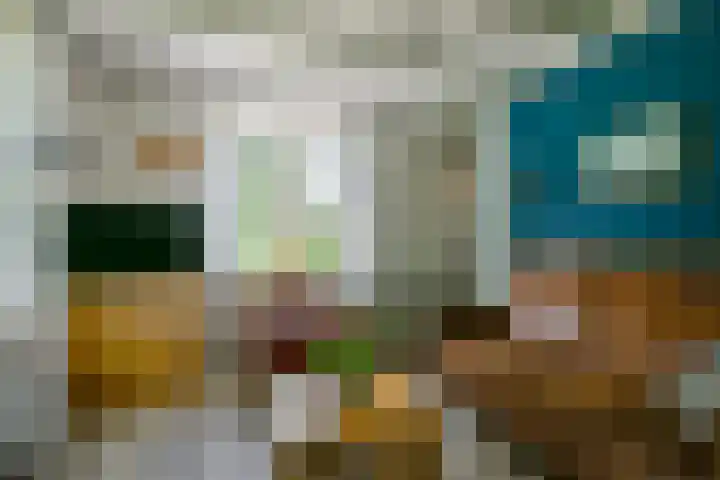 Hippolytushoeverweg 7 Slootdorp thumbnail 9