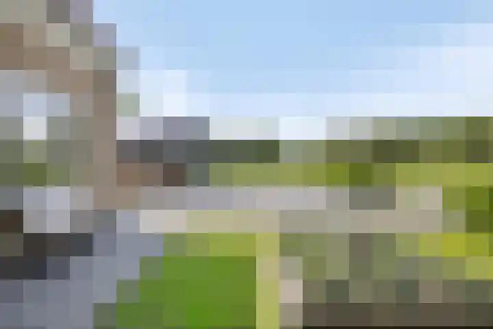Hippolytushoeverweg 9 Slootdorp thumbnail 11