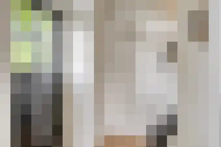 Hippolytushoeverweg 9 Slootdorp thumbnail 13