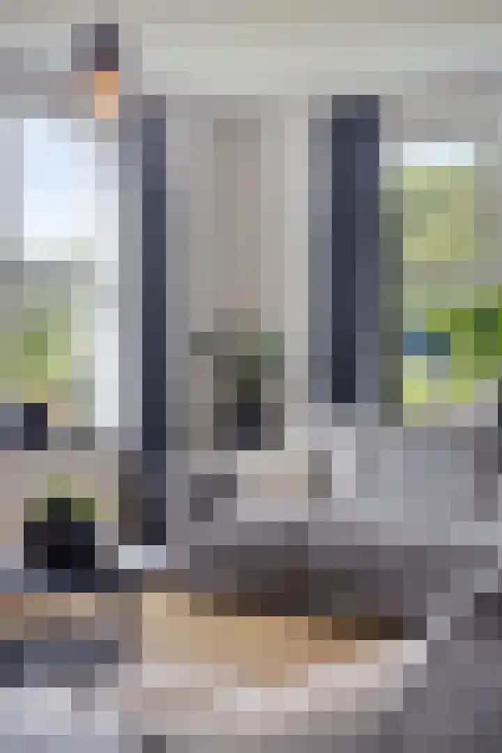 Hippolytushoeverweg 9 Slootdorp thumbnail 19