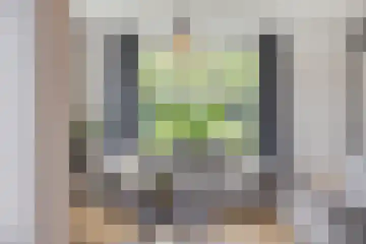 Hippolytushoeverweg 9 Slootdorp thumbnail 20
