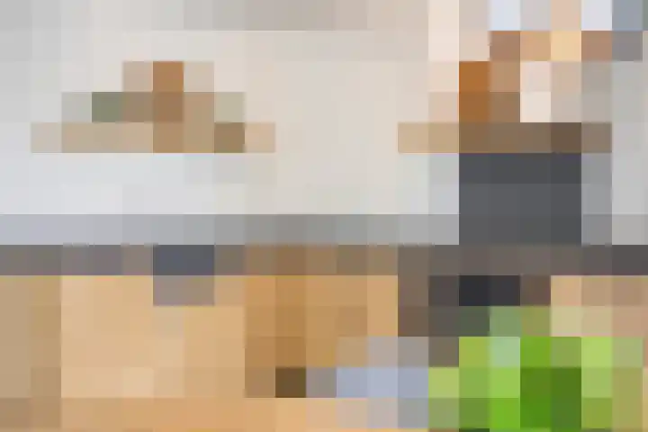 Hippolytushoeverweg 9 Slootdorp thumbnail 27