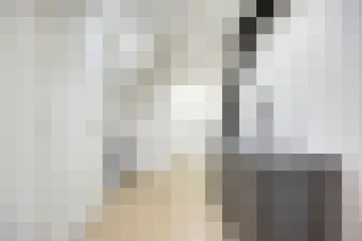 Hippolytushoeverweg 9 Slootdorp thumbnail 34