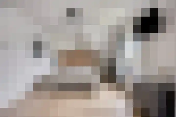 Hippolytushoeverweg 9 Slootdorp thumbnail 36