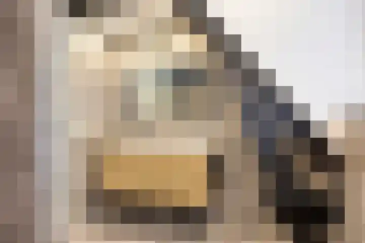 Hippolytushoeverweg 9 Slootdorp thumbnail 38