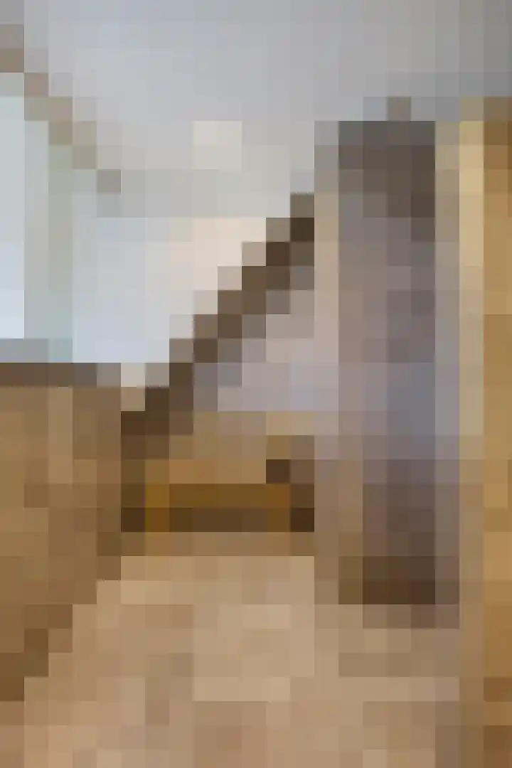 Hippolytushoeverweg 9 Slootdorp thumbnail 39