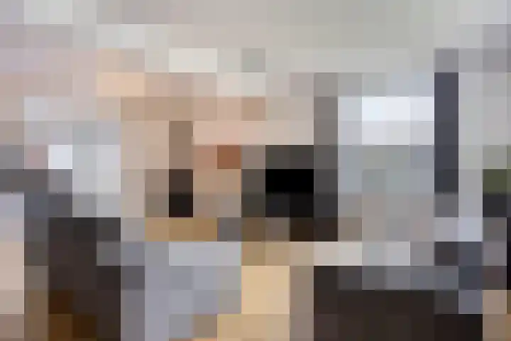 Hippolytushoeverweg 9 Slootdorp thumbnail 4