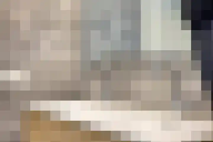 Hippolytushoeverweg 9 Slootdorp thumbnail 41