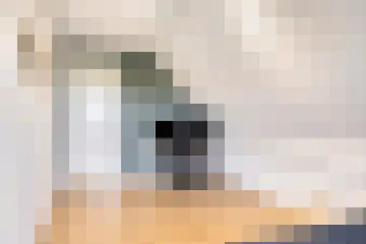 Hippolytushoeverweg 9 Slootdorp thumbnail 43
