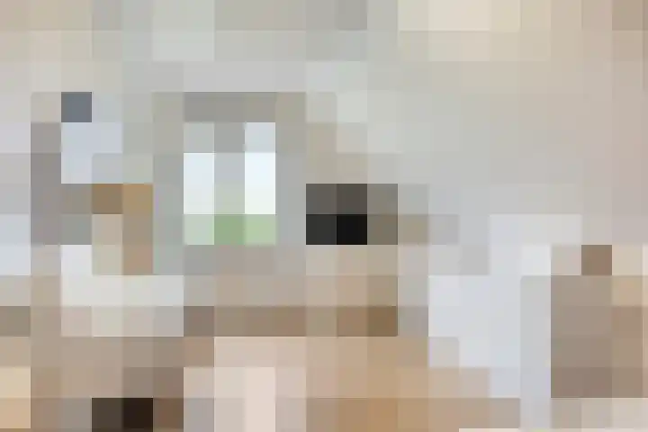 Hippolytushoeverweg 9 Slootdorp thumbnail 44