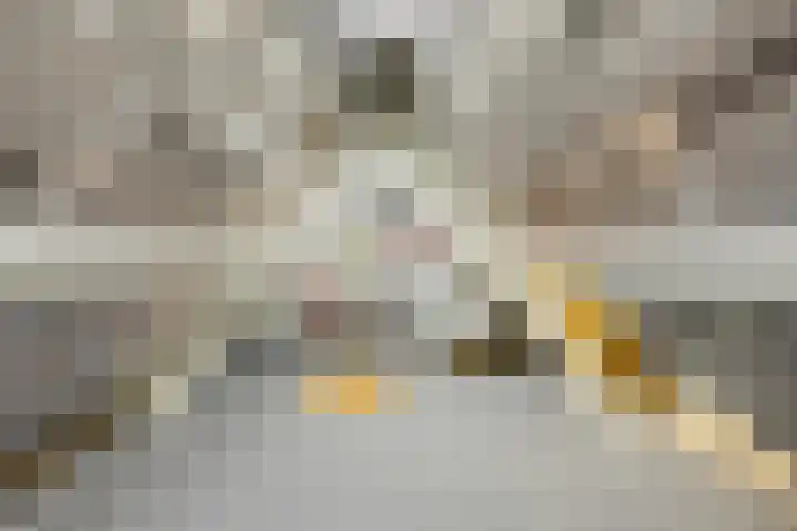 Hippolytushoeverweg 9 Slootdorp thumbnail 46
