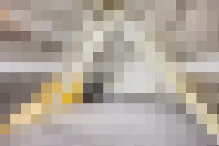 Hippolytushoeverweg 9 Slootdorp thumbnail 47