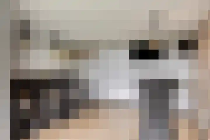 Hippolytushoeverweg 9 Slootdorp thumbnail 49